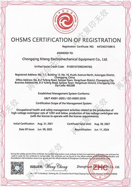 职业健康证书(英文)